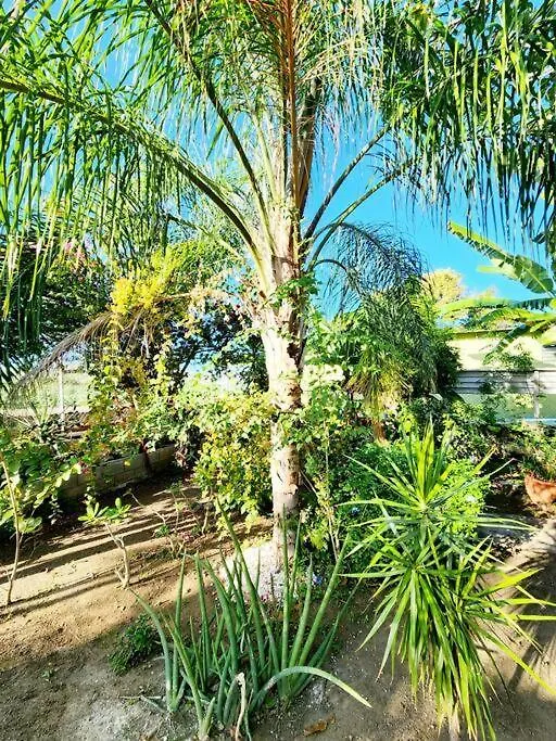度假居 Oasis Salinas别墅
