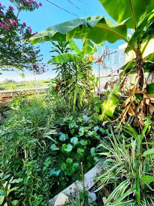 Дом отдыха Вилла Oasis Салинас